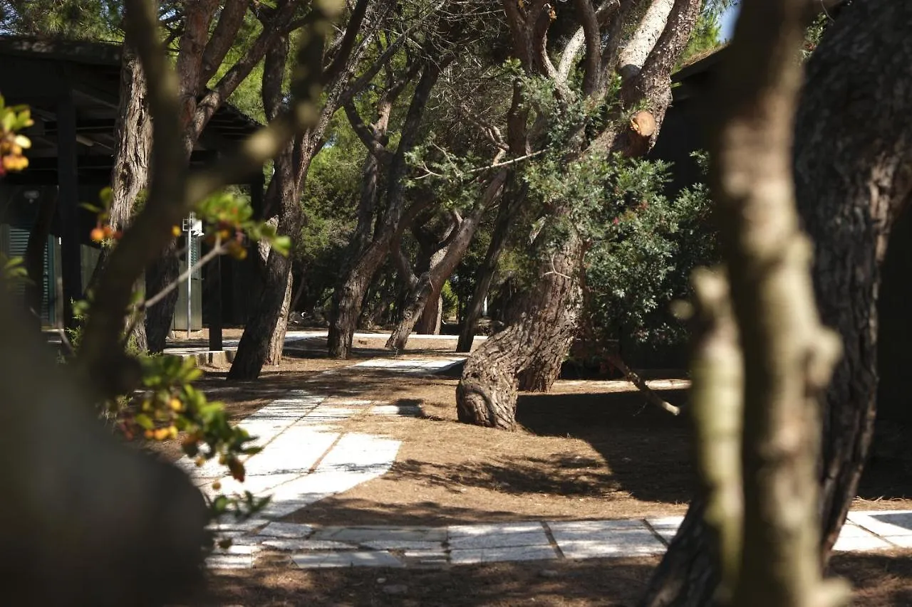 Κάμπινγκ Villaggio Camping Torre Del Porticciolo Porto Conte